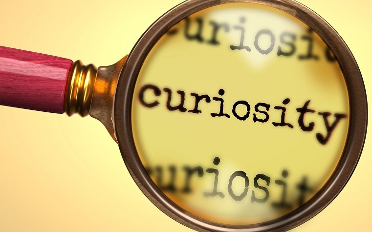 The Curious Data Scientist: Unraveling Success Stories Through Case Studies